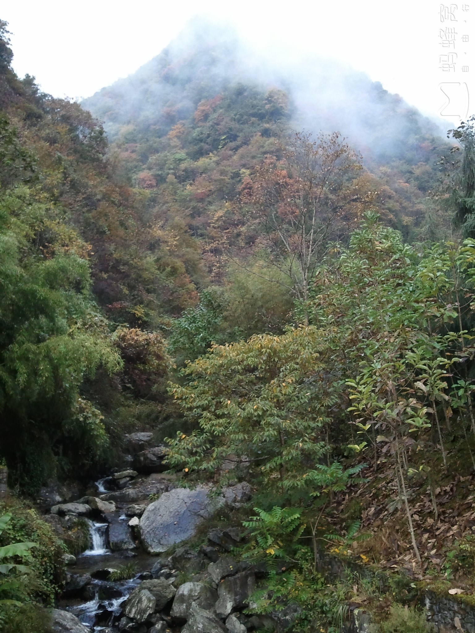 鹤峰县有多少人口_鹤峰人去屏山(2)