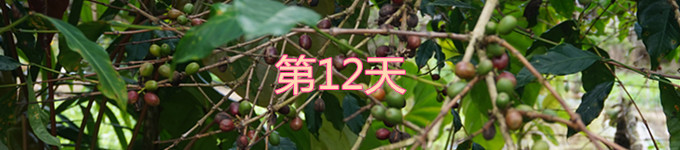12 12