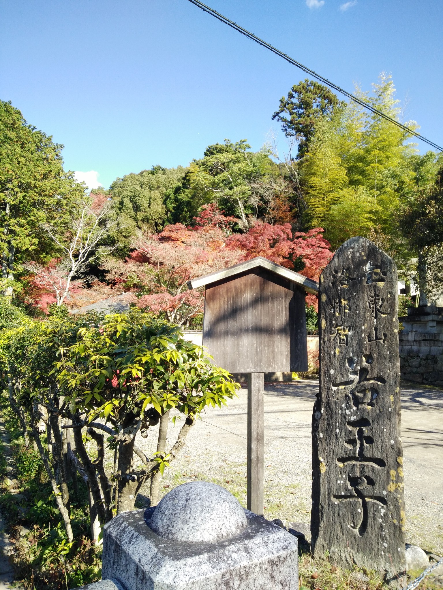 京都自助遊攻略