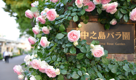 香港直飞日本东进阪出6-7天往返机票(超值套餐