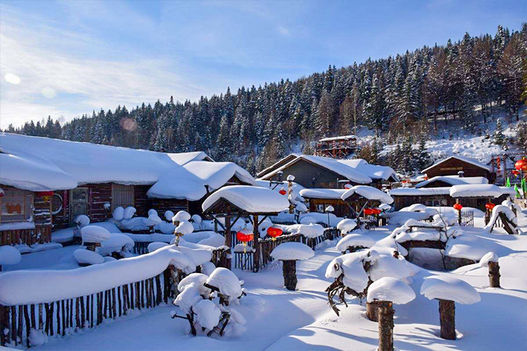 达孜区雪乡人口_达孜区图片