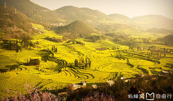 罗平旅游必去的地方,罗平必玩美景top5