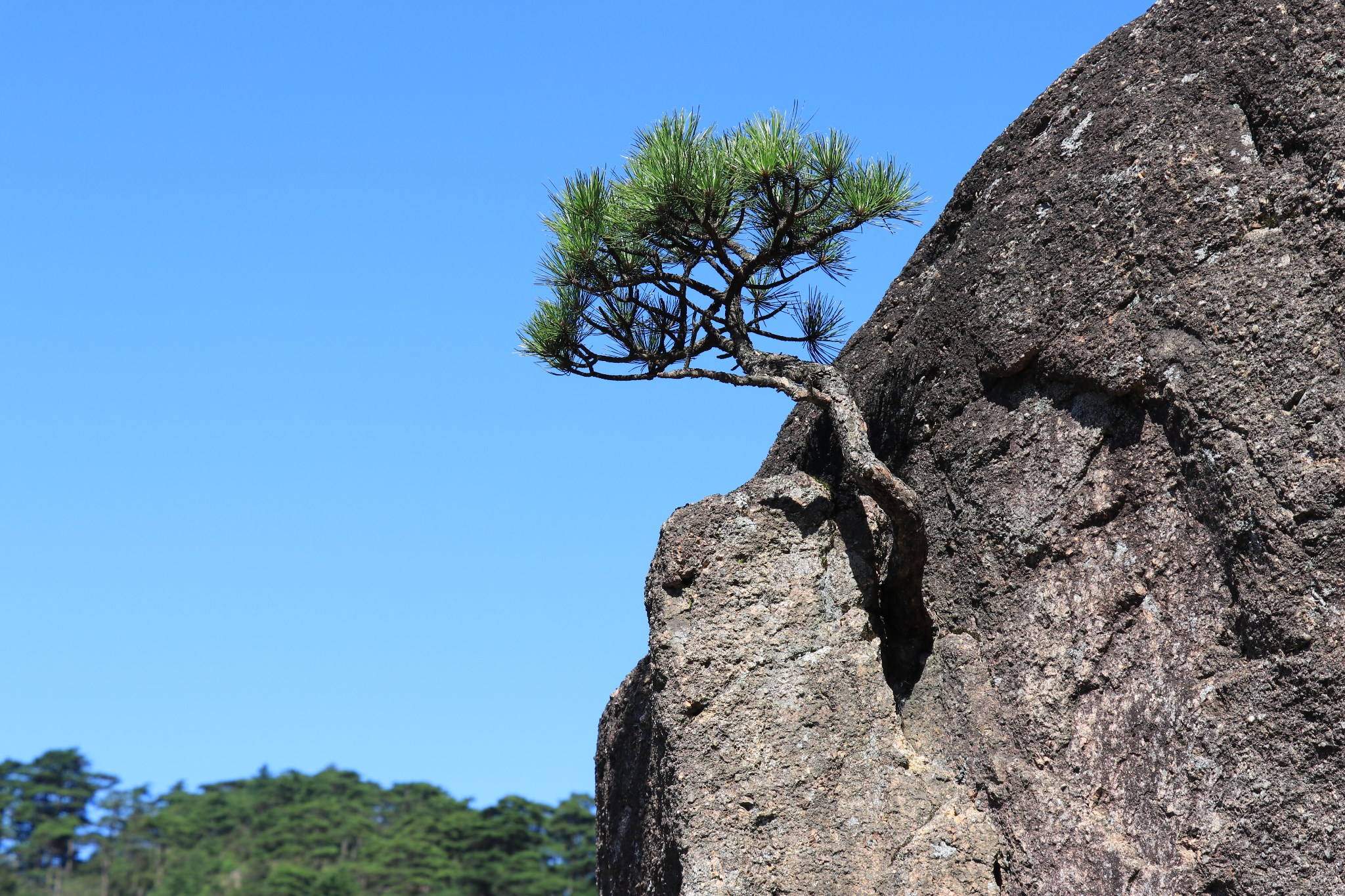 黃山自助遊攻略