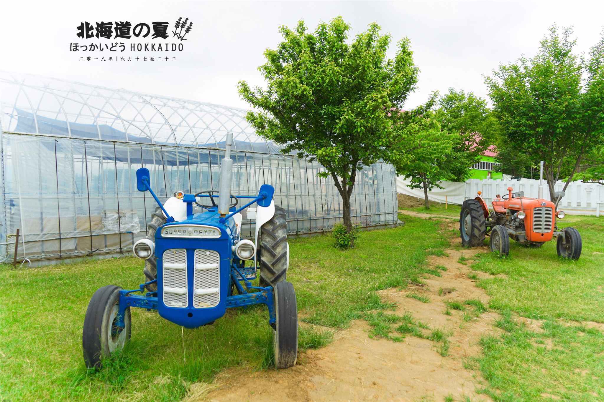 北海道自助遊攻略