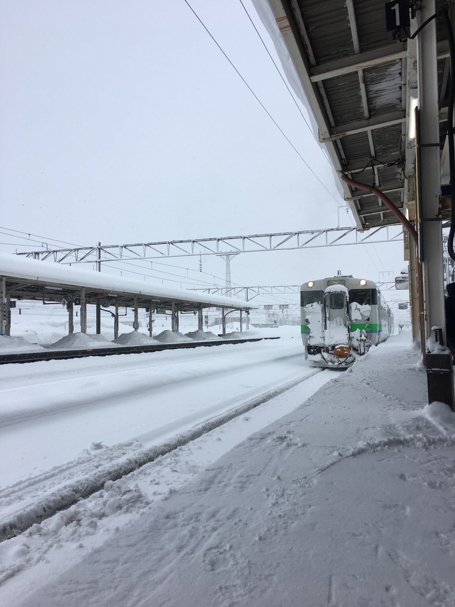 北海道自助遊攻略