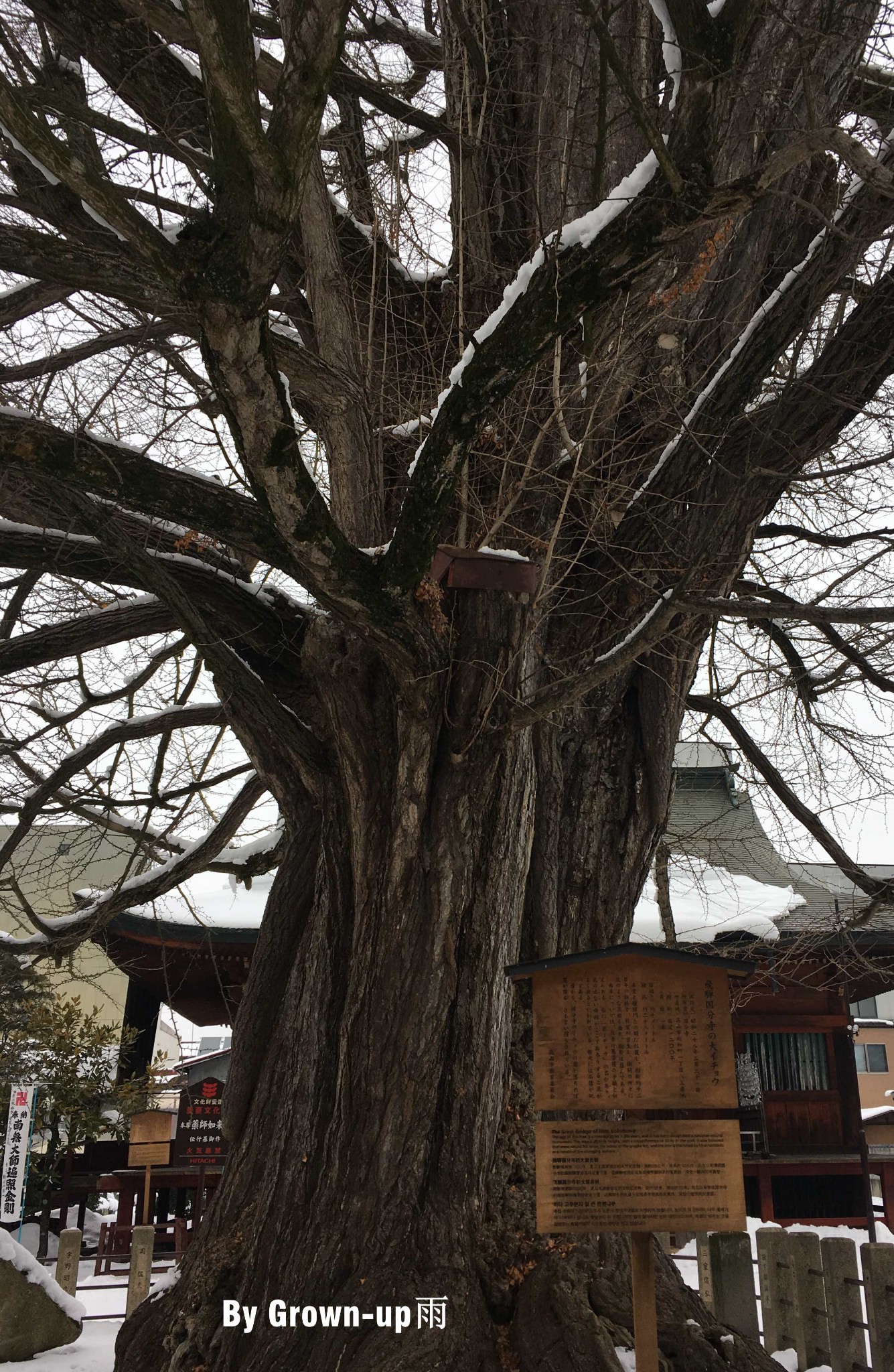 名古屋自助遊攻略