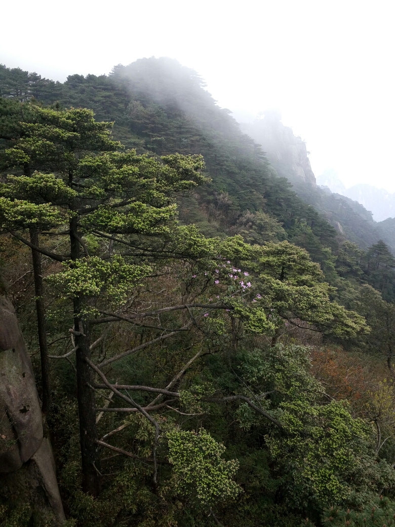 三清山自助遊攻略