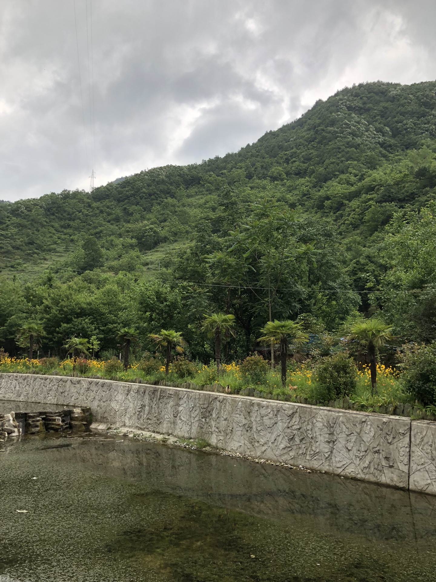 康縣鄉村旅遊,隴南康縣旅遊,陽壩國家4a景區,甘肅隴南康縣旅遊,甘肅