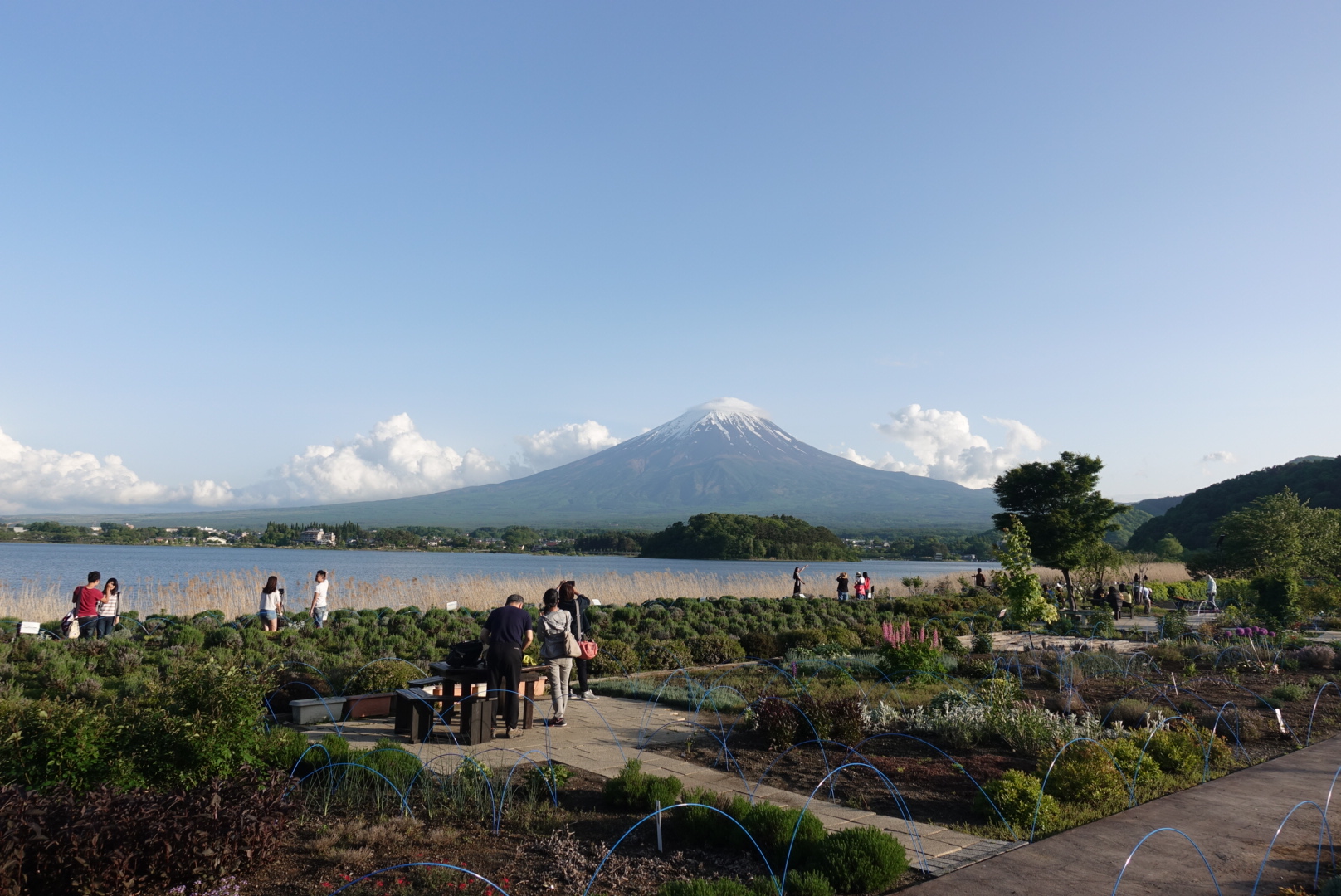 富士山自助遊攻略