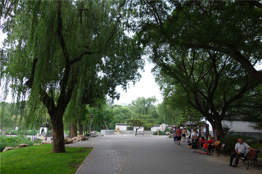 原始图片 所有游记图片 11/87 陶然亭公园 陶然亭公园,位于北京誓南