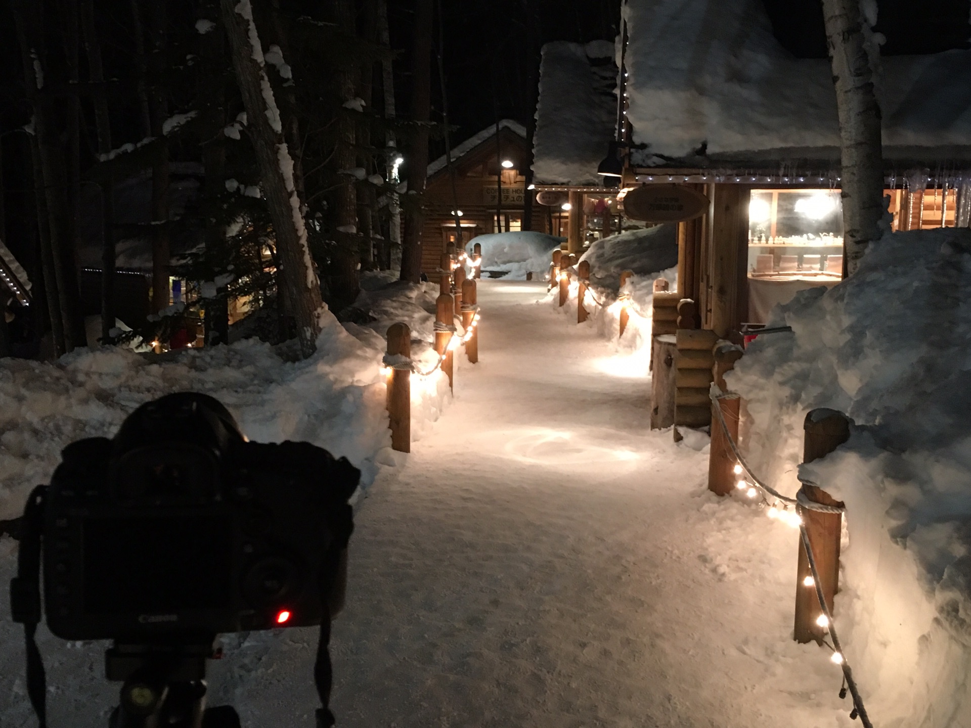 北海道自助遊攻略