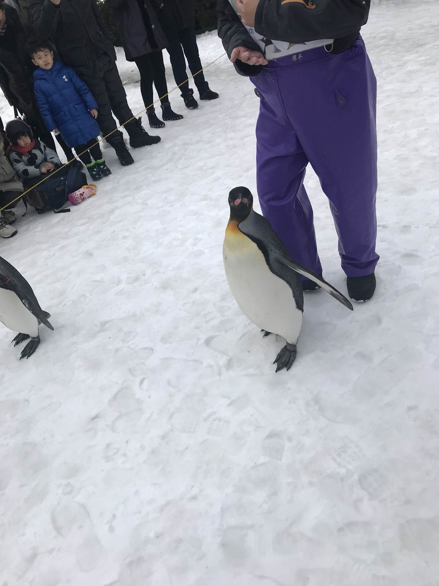 北海道自助遊攻略