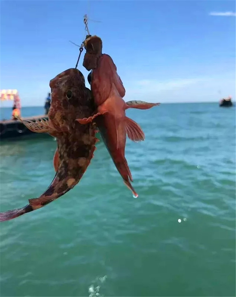 上海到嵊泗的船票好买么?