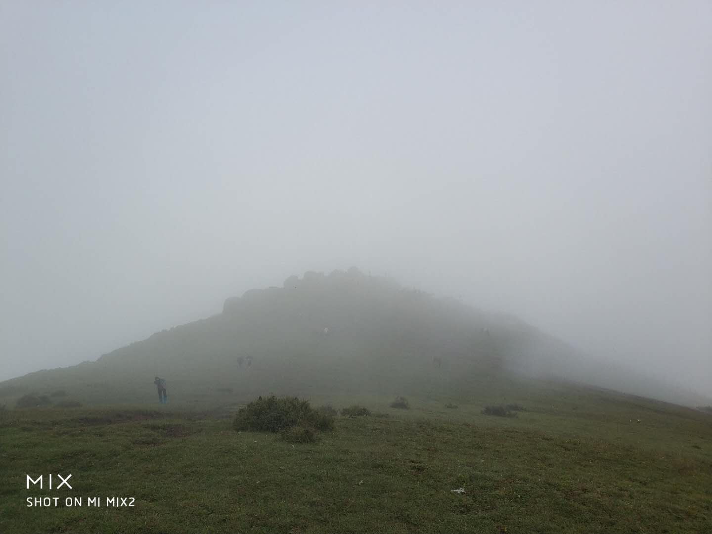 会泽人口图_会泽大海草山(3)