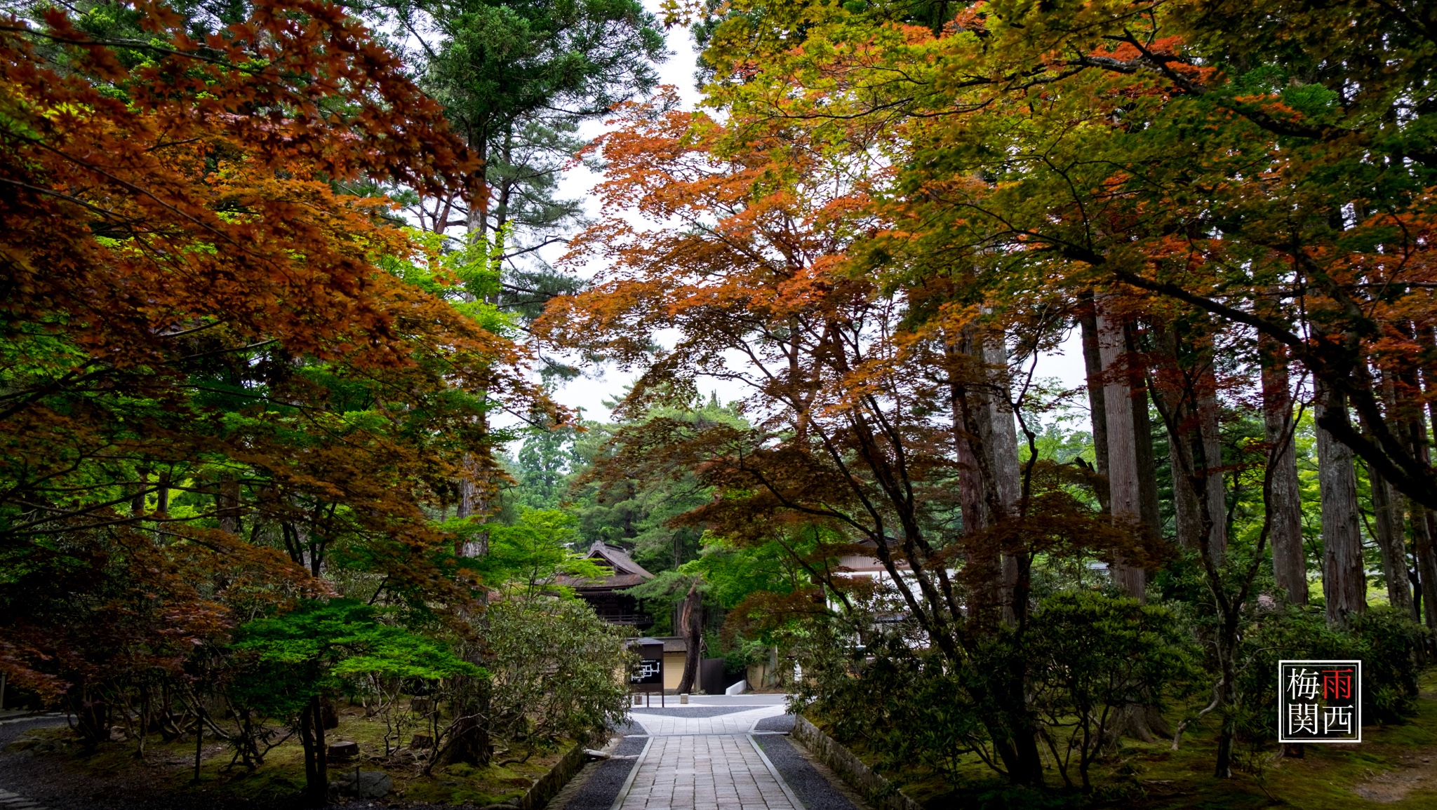 京都自助遊攻略