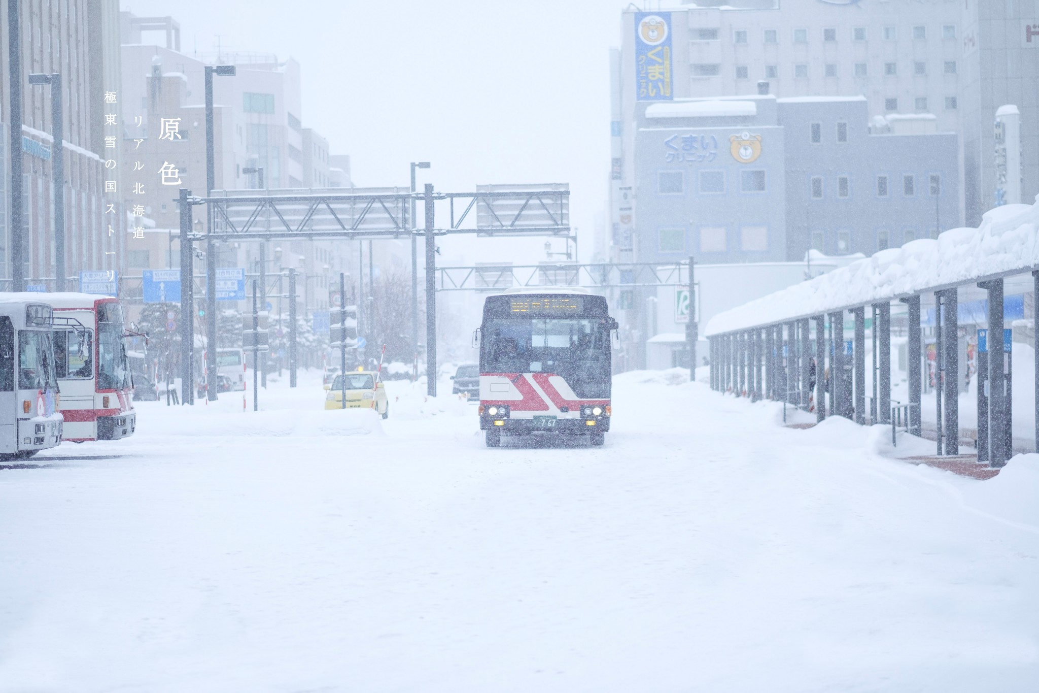 北海道自助遊攻略