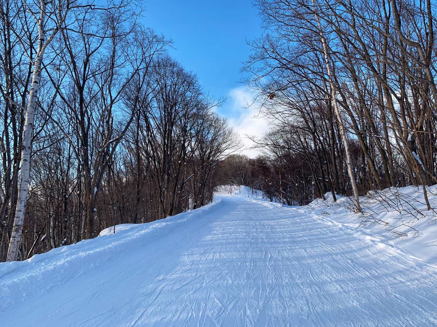 北海道自助遊攻略