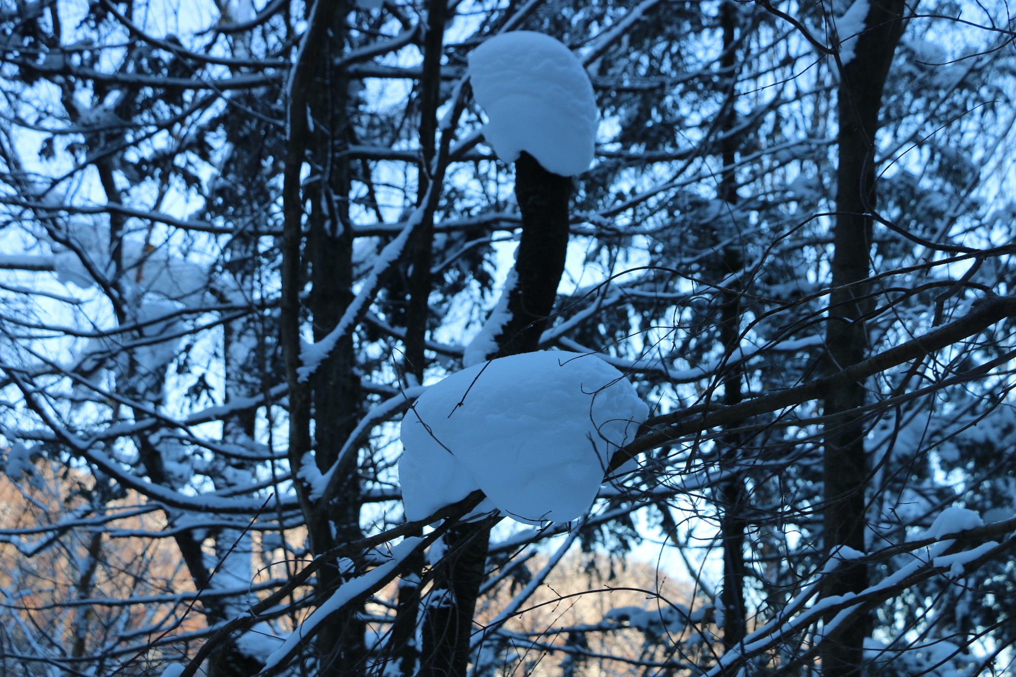 雪鄉自助遊攻略