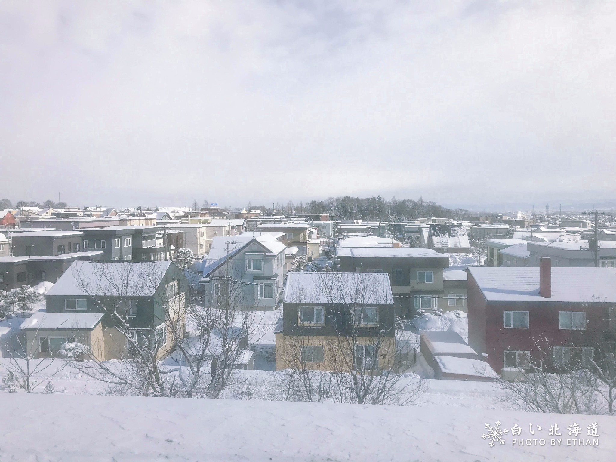 北海道自助遊攻略