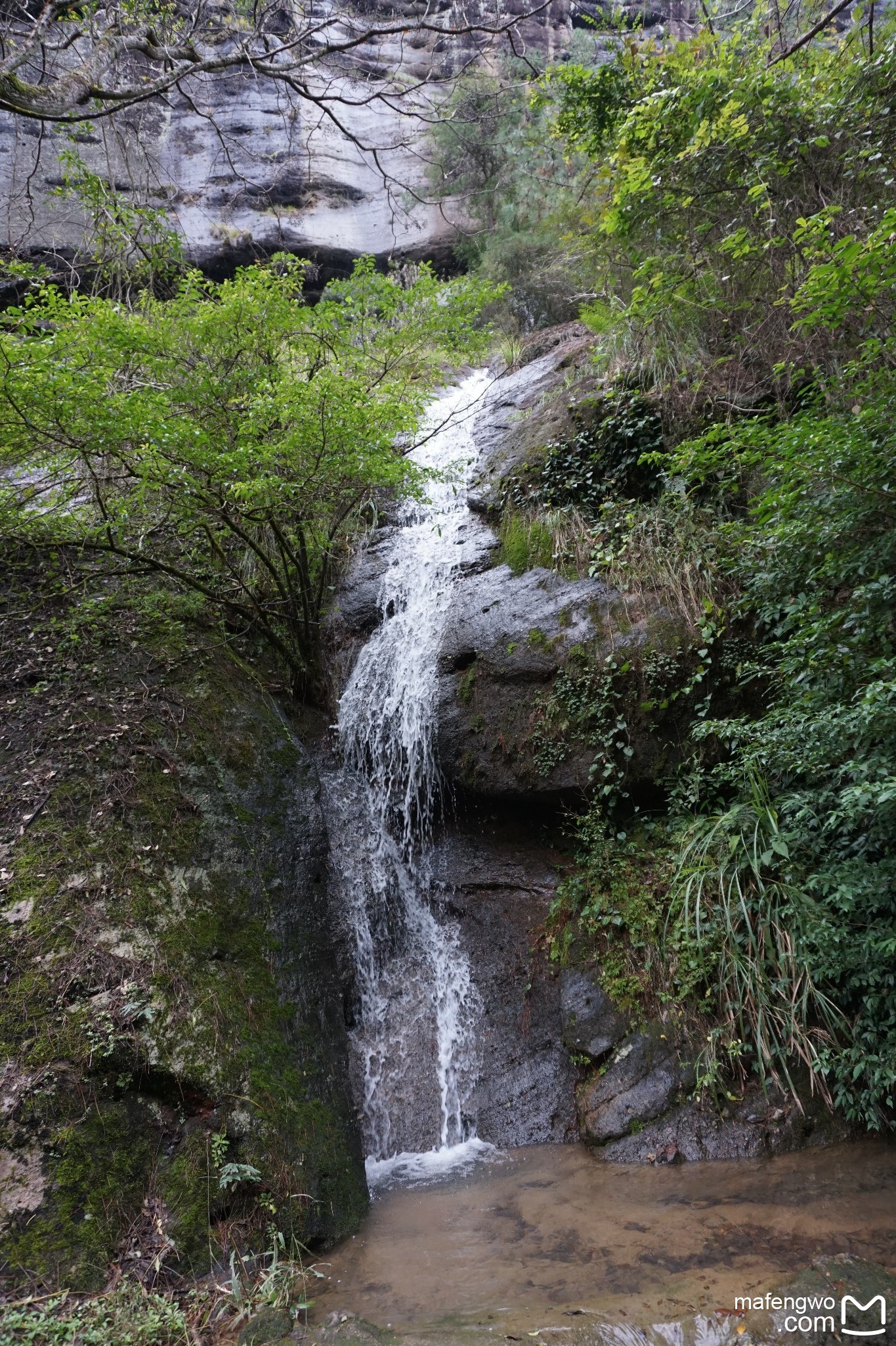 武夷山自助遊攻略