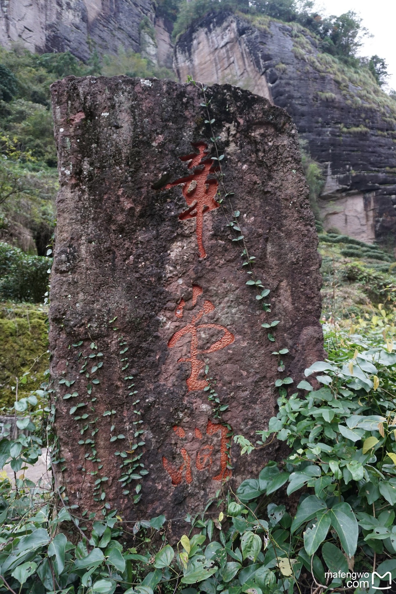 武夷山自助遊攻略