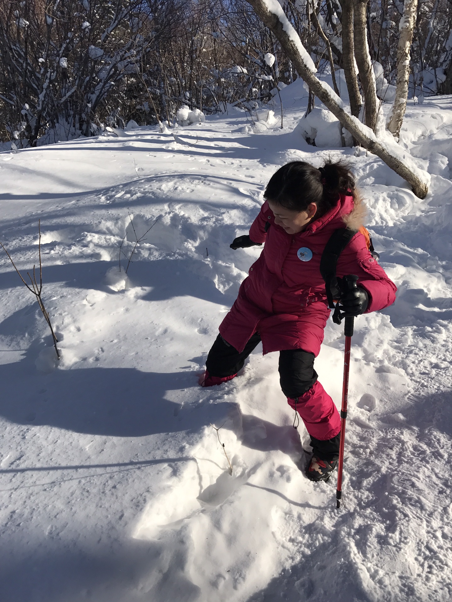 雪鄉自助遊攻略