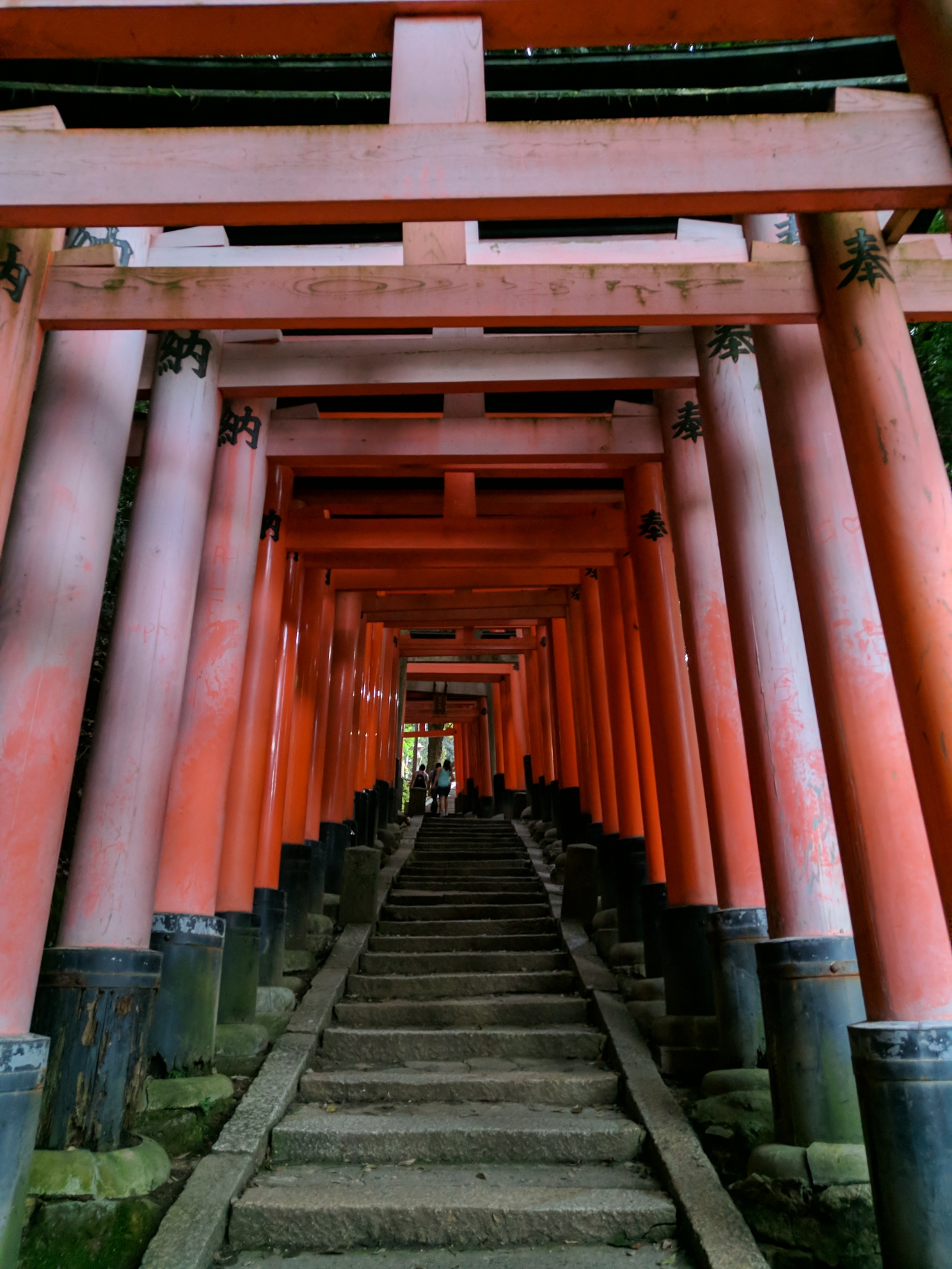 京都自助遊攻略