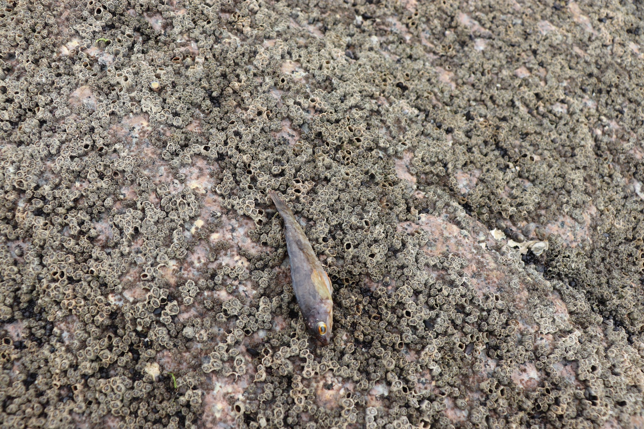 回复游记:青岛之行5日(半天 济南)