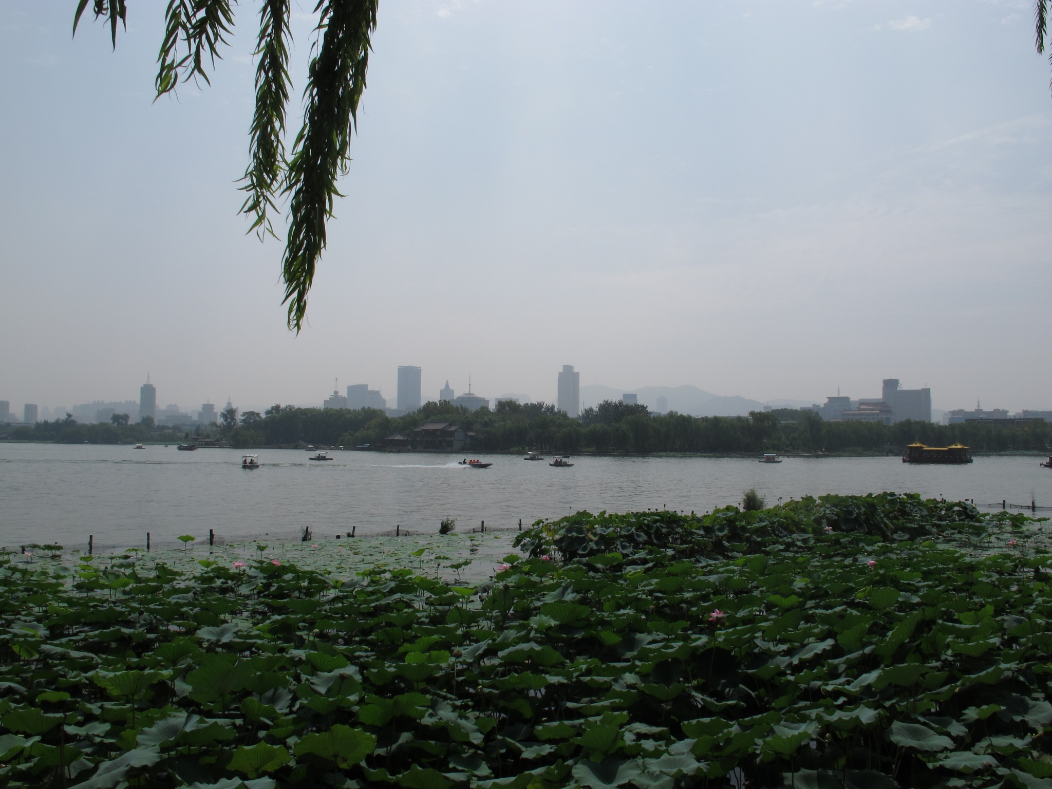 济南多少人口2017_济南人口热力图(2)
