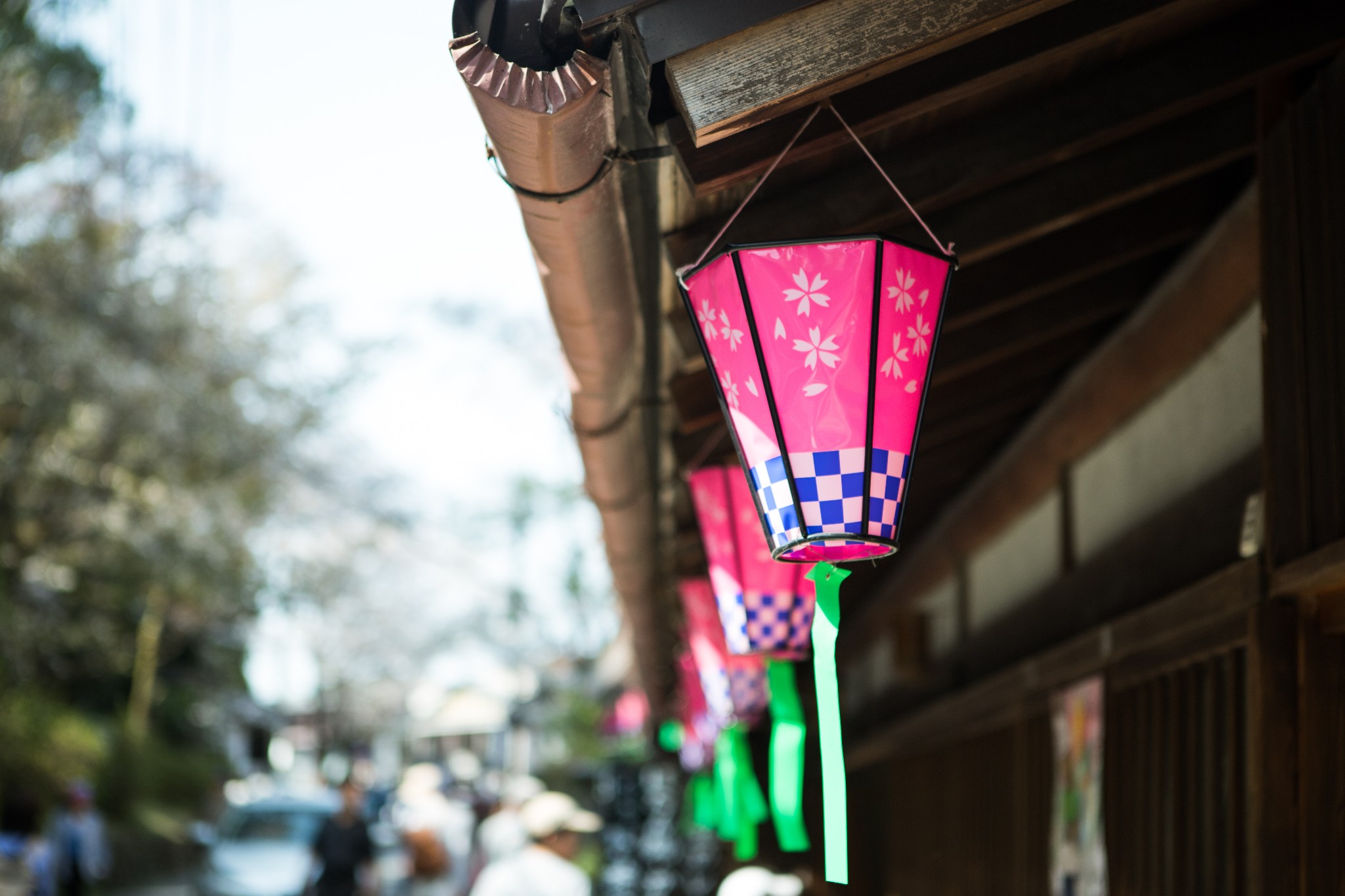 和歌山市自助遊攻略