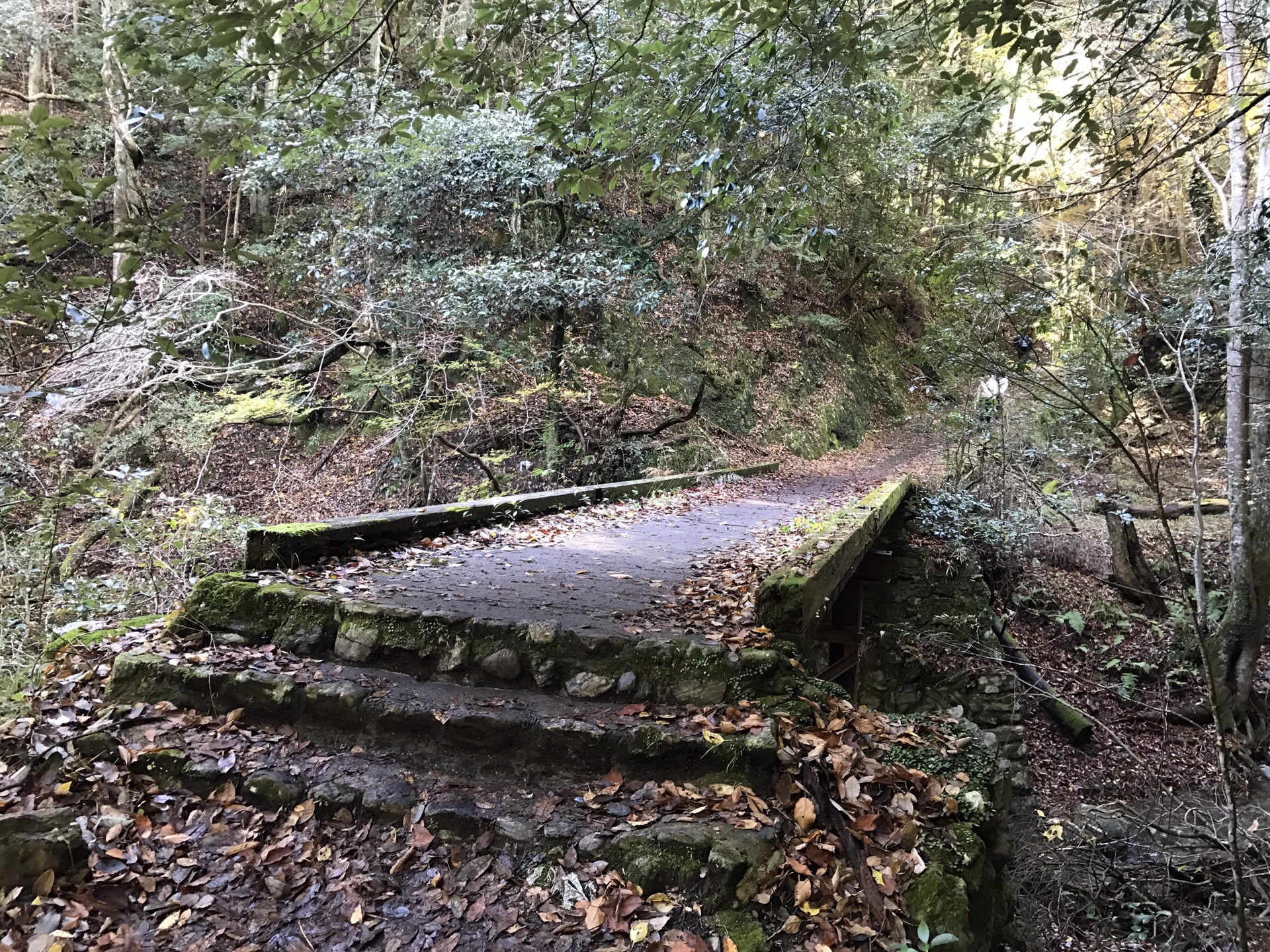 京都自助遊攻略