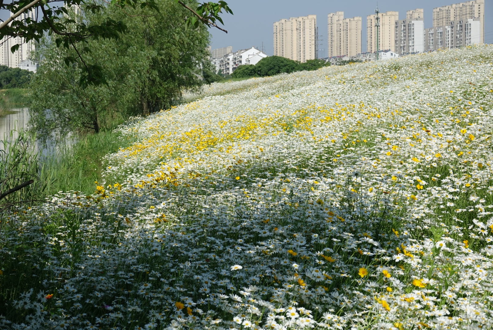 無錫自助遊攻略