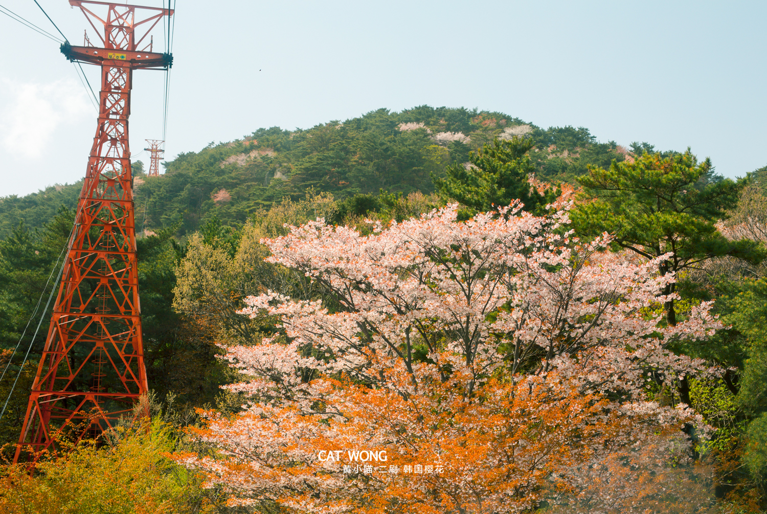 釜山自助遊攻略