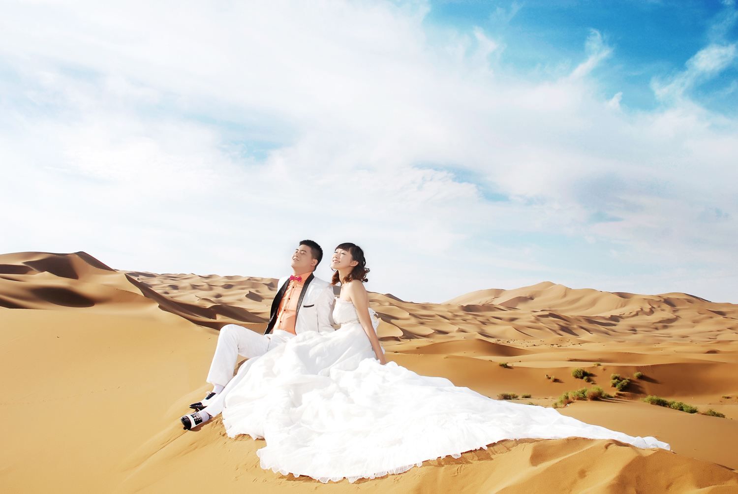 沙漠婚纱照图片_沙漠婚纱照图片大全集(3)