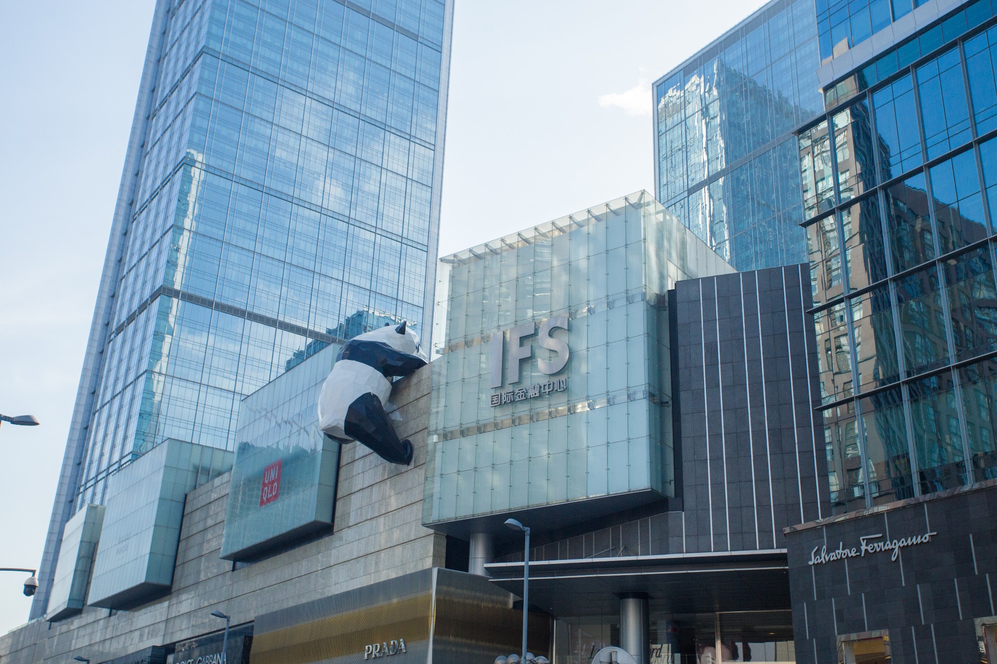 说到ifs游客们印象更深的估计是这只网红爬墙熊猫