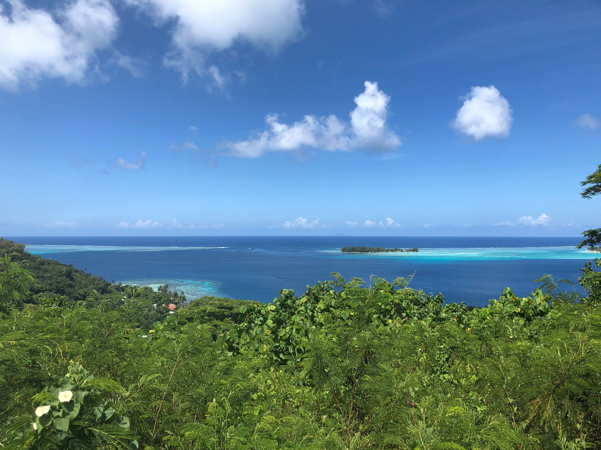 大溪地自助遊攻略