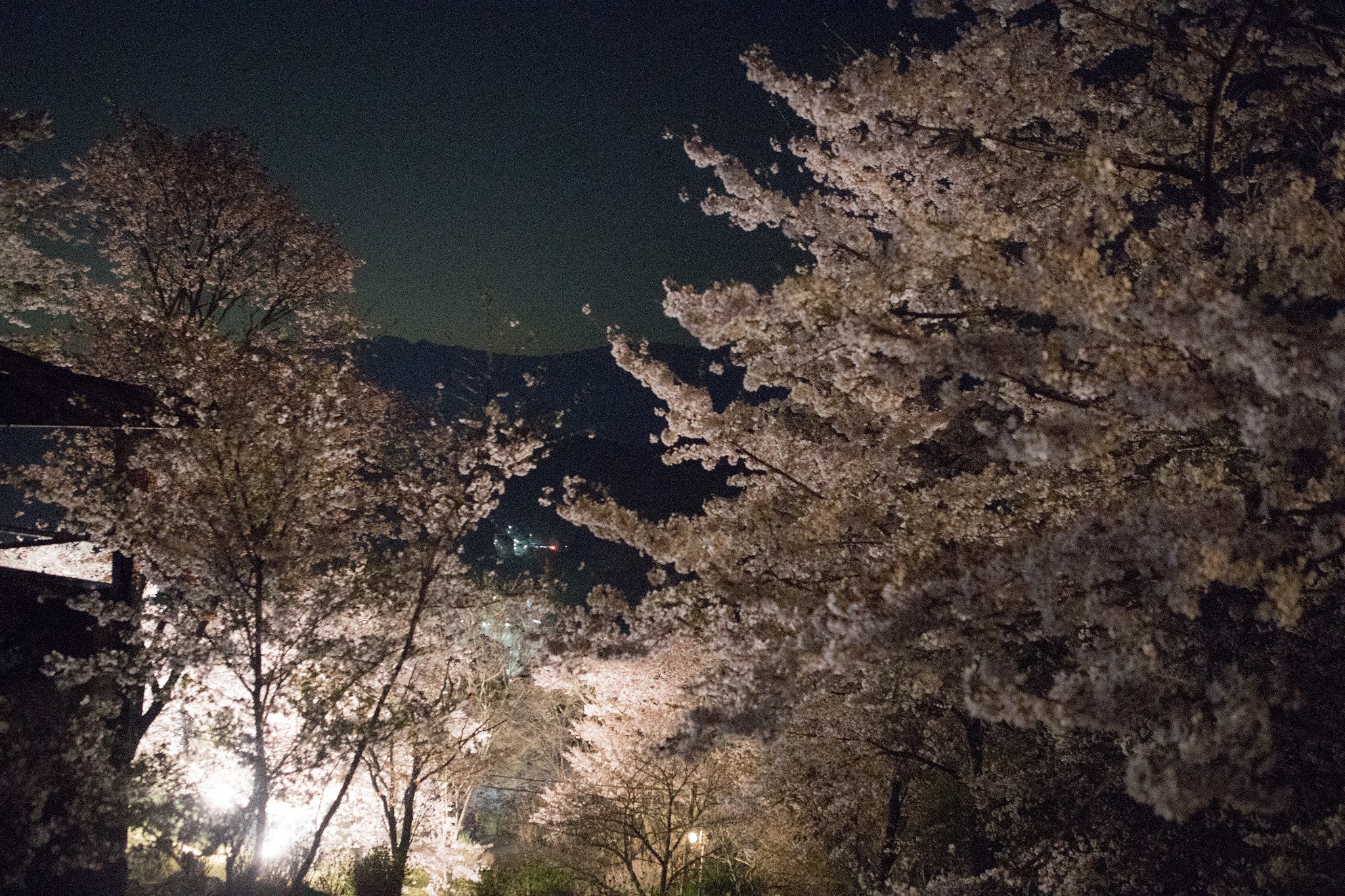 和歌山市自助遊攻略