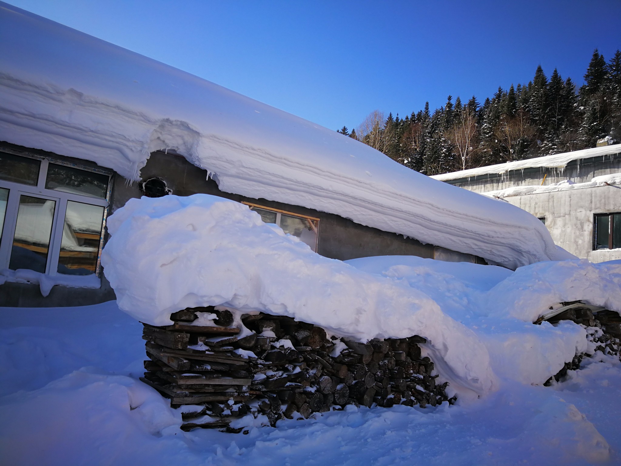 雪鄉自助遊攻略