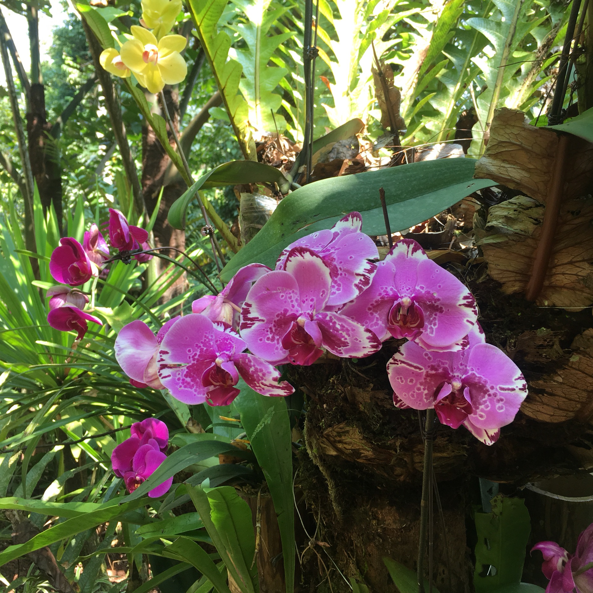 太阳两个人猜成语_两个人猜成语图片大全(3)