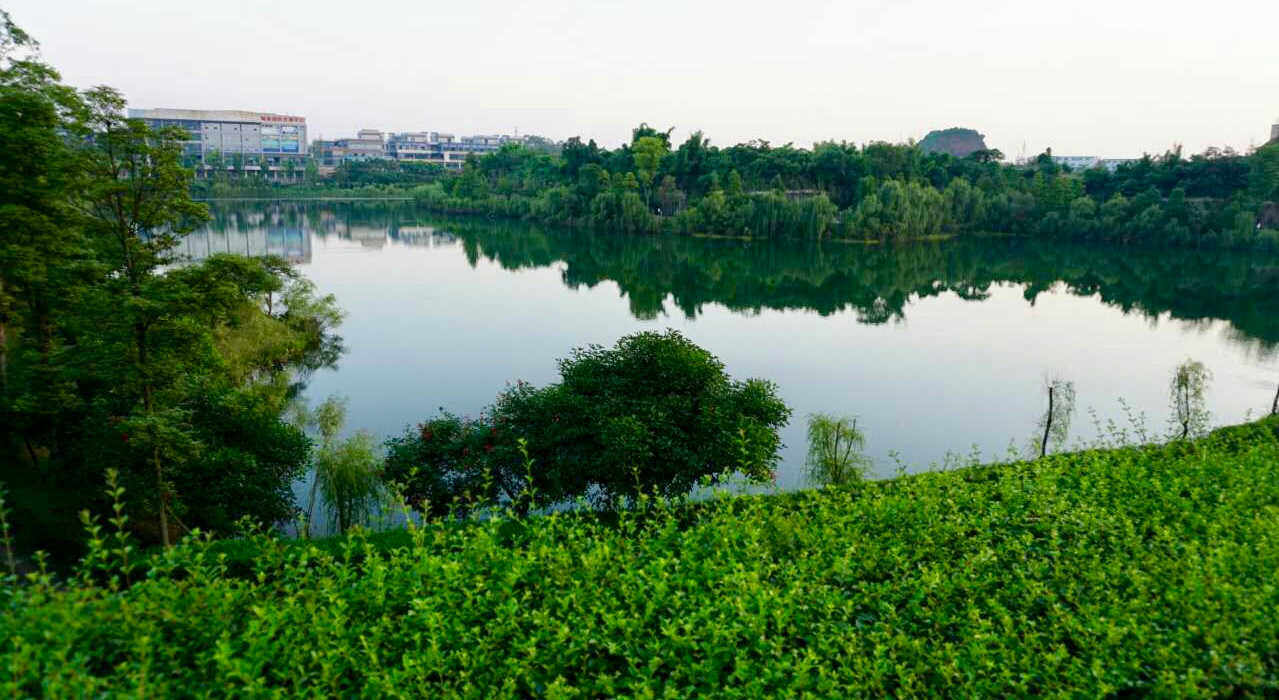 龍湖公園