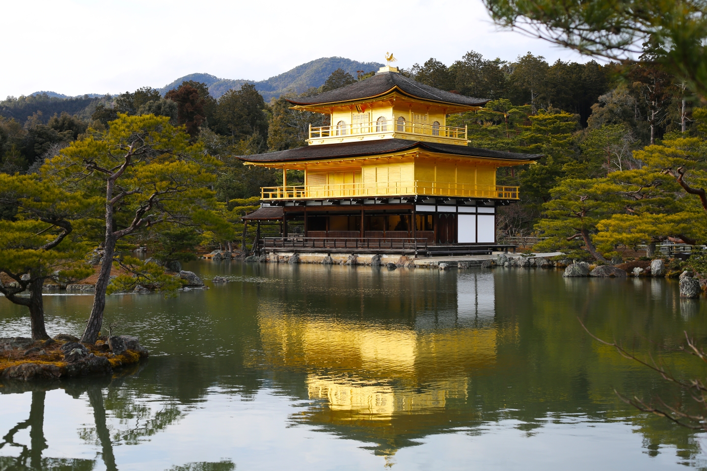 夕卜来人口_山本夕力卜图片(3)