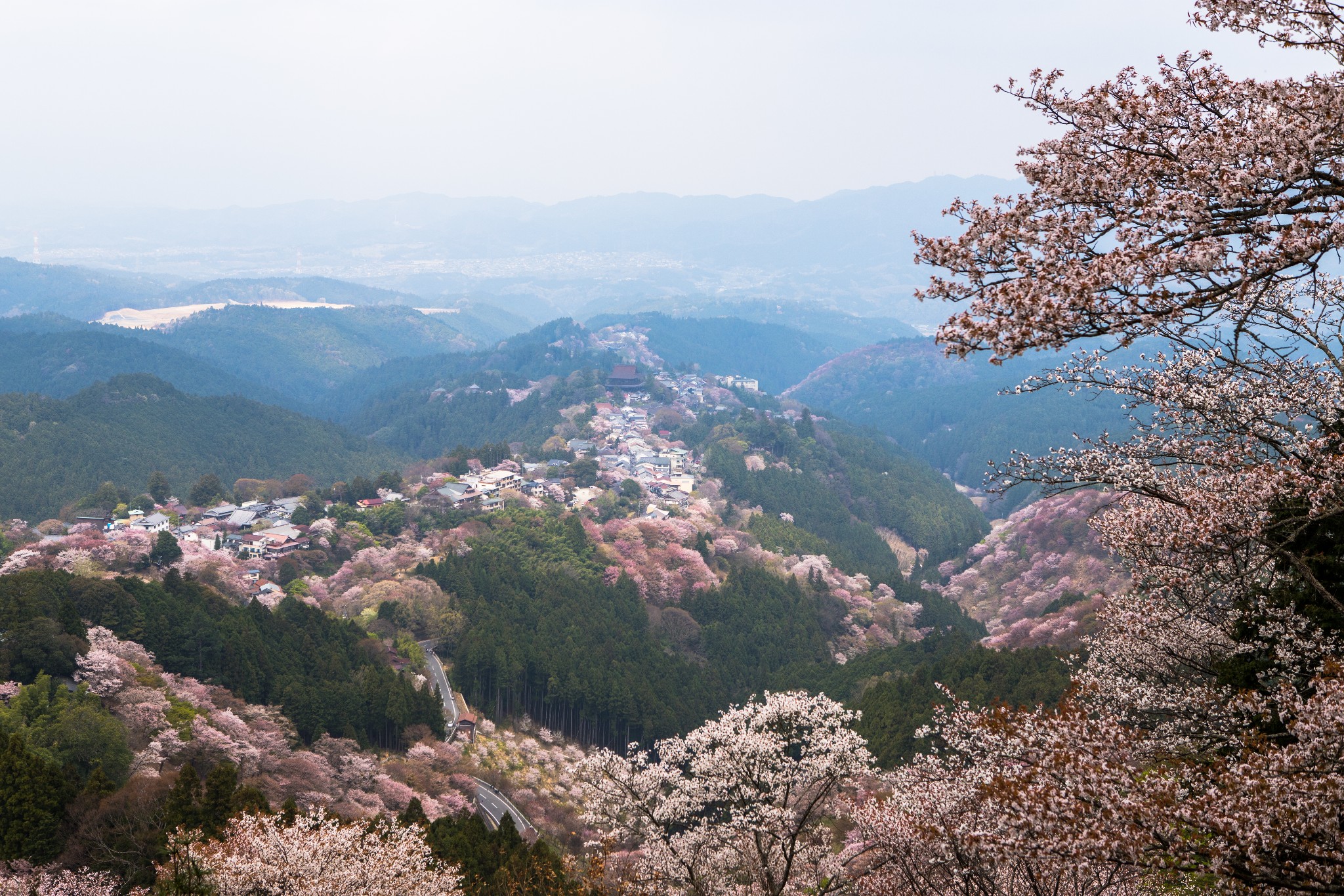 和歌山市自助遊攻略