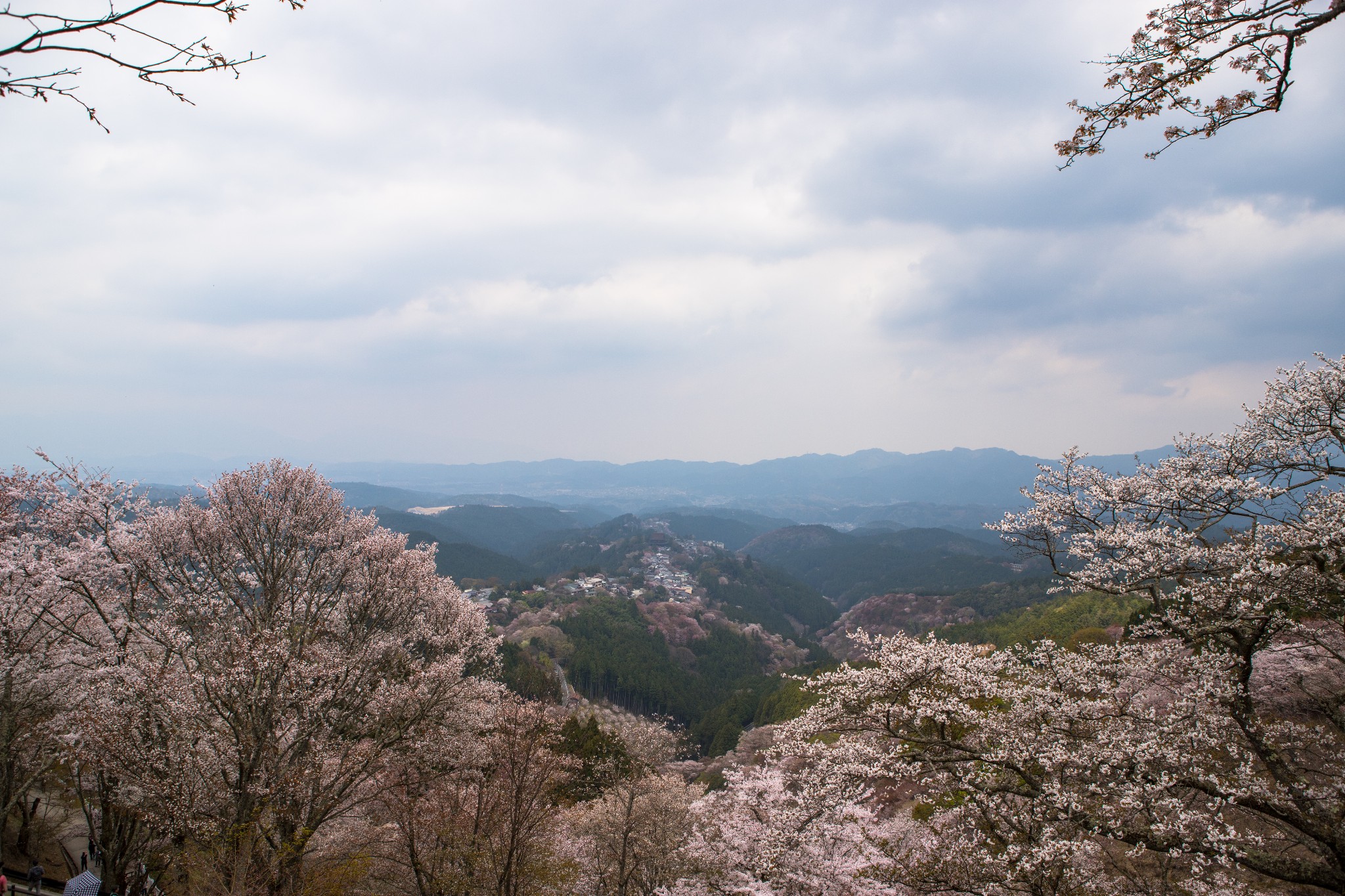 和歌山市自助遊攻略