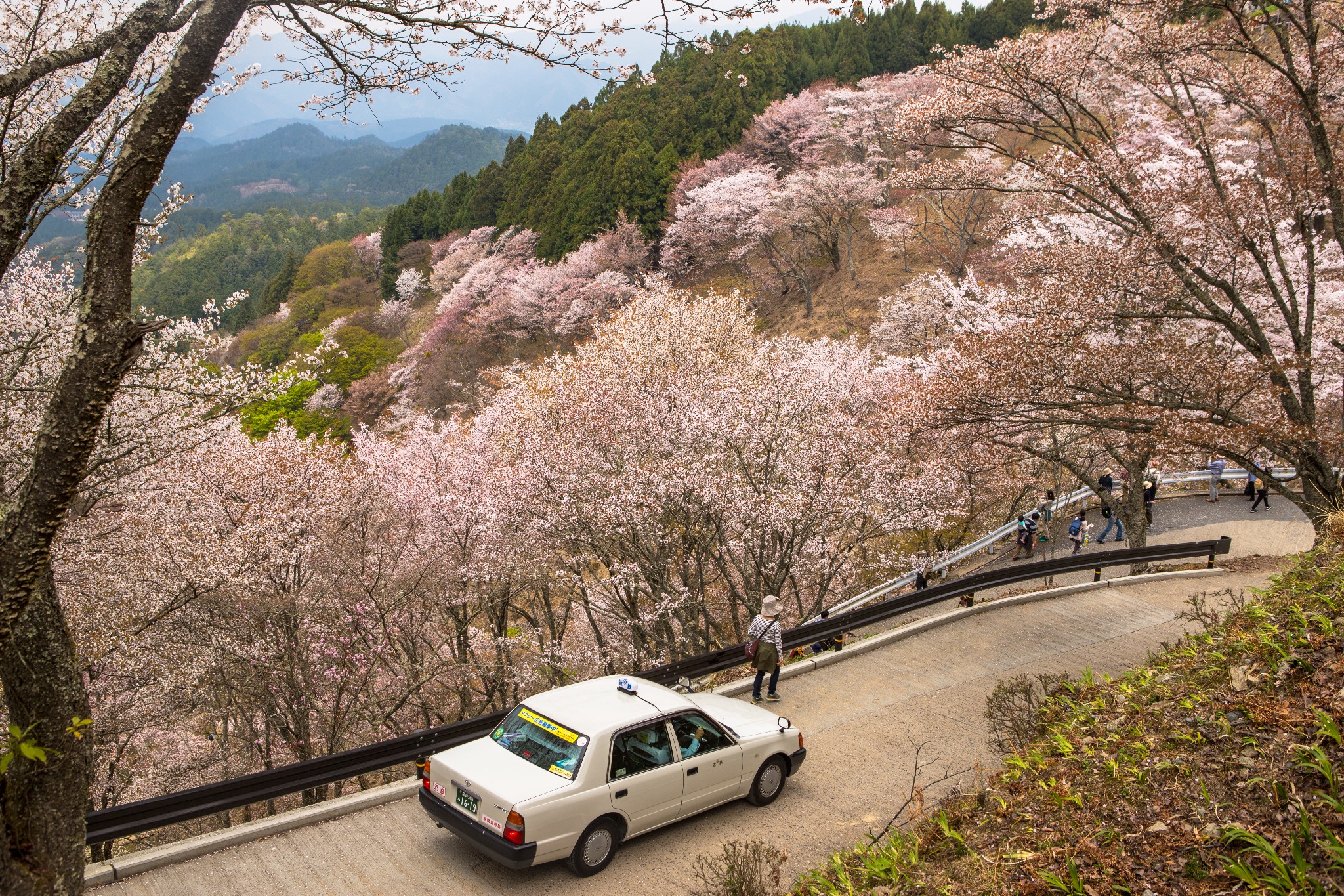 和歌山市自助遊攻略