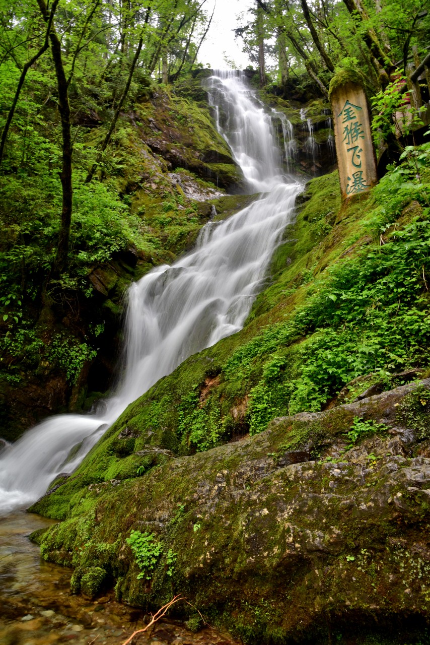 神农架人口有多少_神农架野人(2)