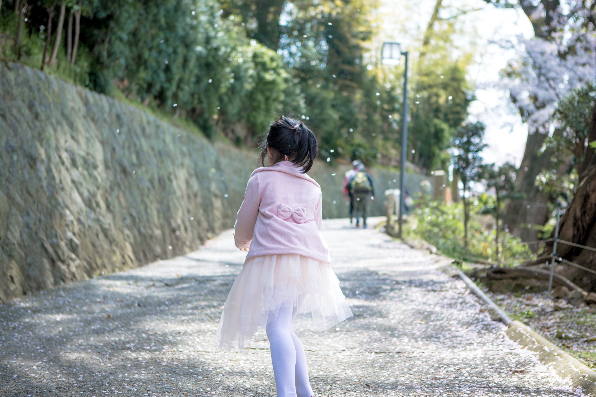 和歌山市自助遊攻略