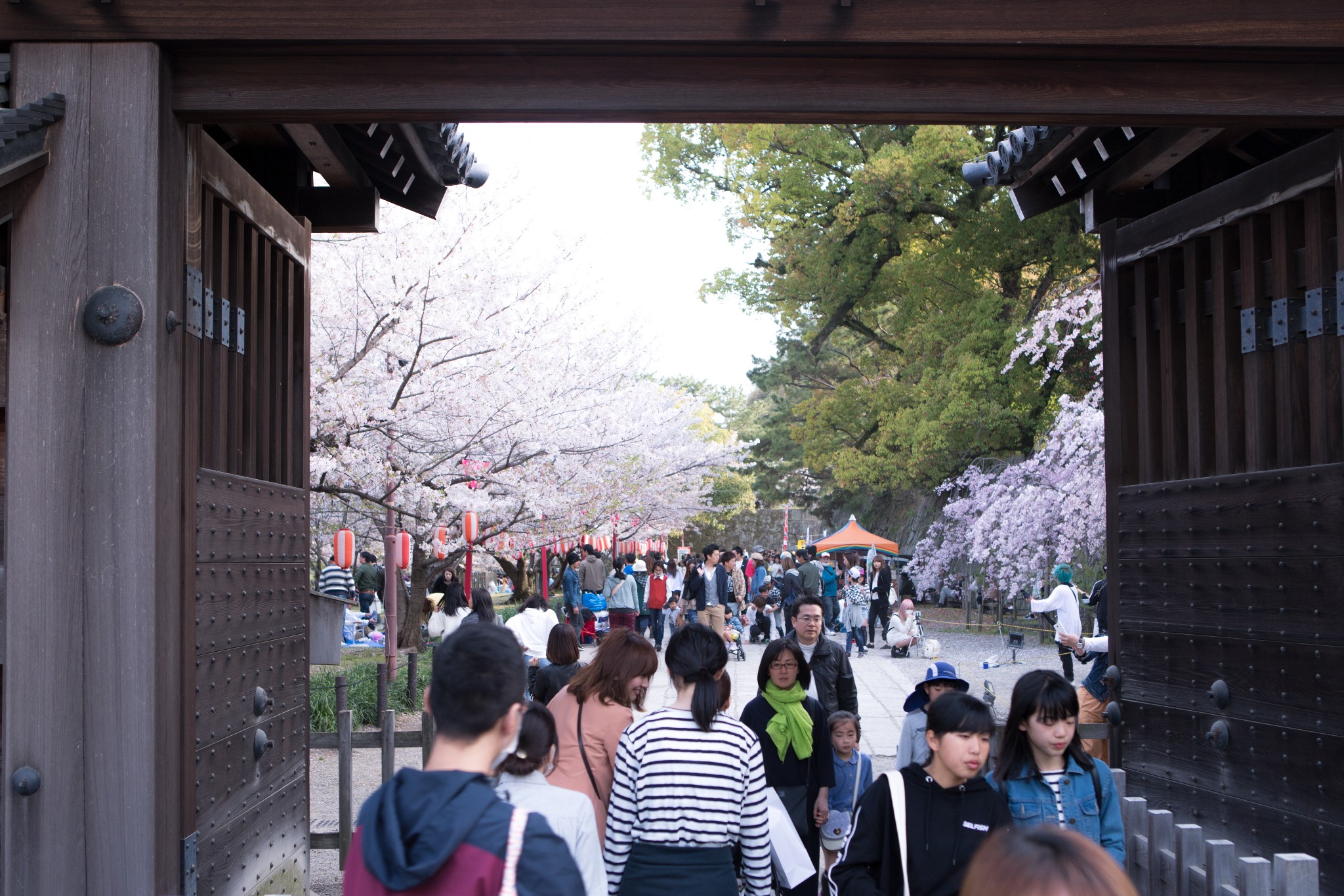 和歌山市自助遊攻略