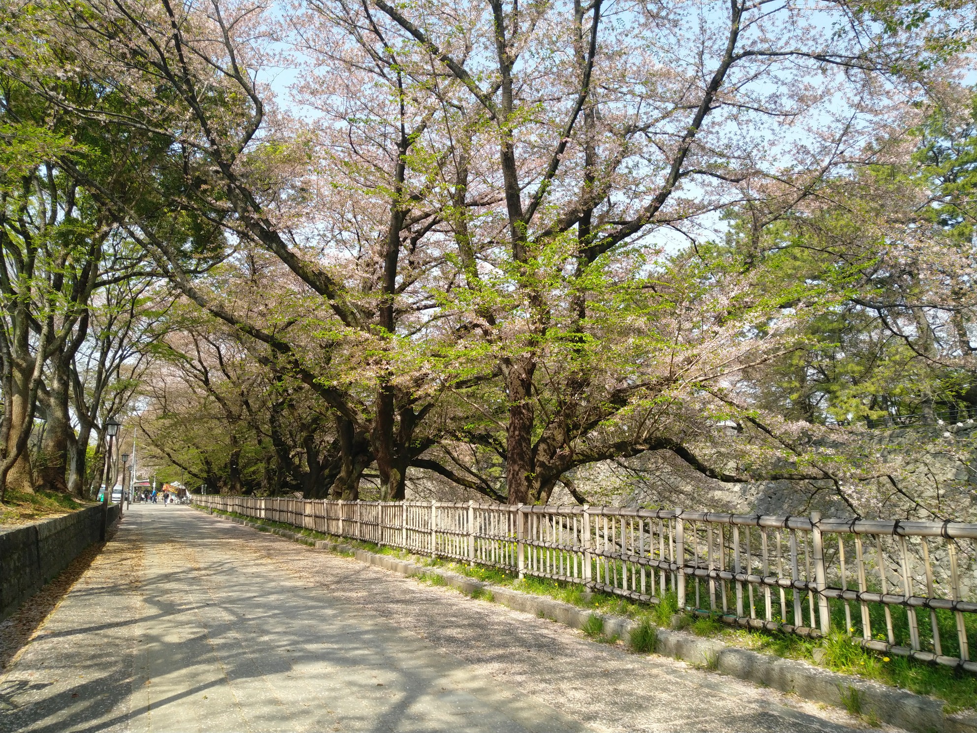 名古屋自助遊攻略