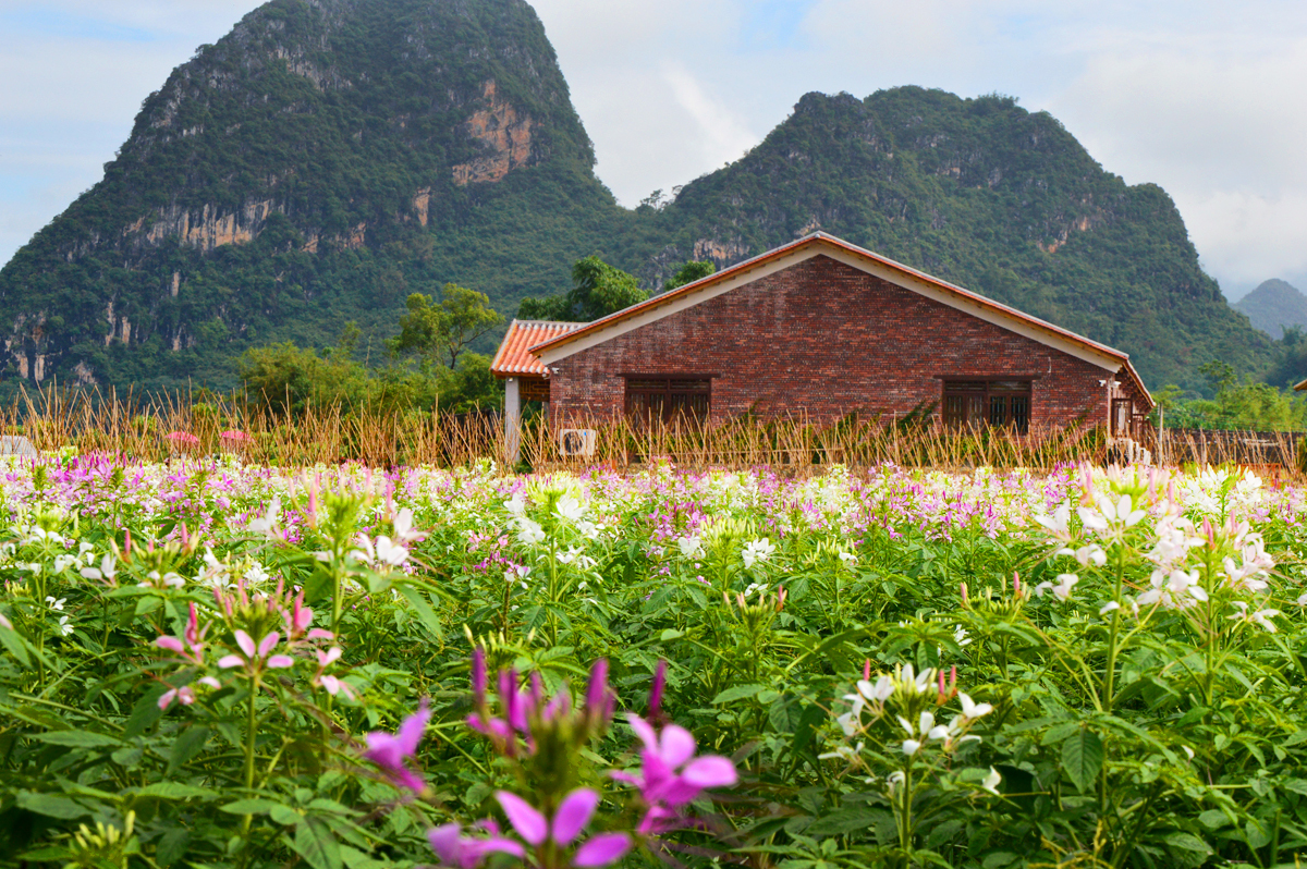 广东英德英西峰林九龙小镇(含玻璃观景平台 九龙传说溶洞 成人票 电子