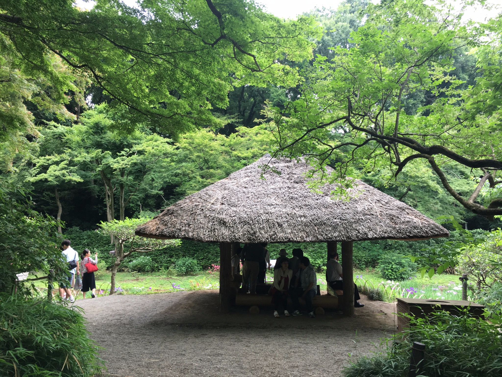 東京自助遊攻略